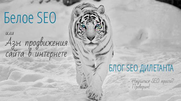 Основные методы Белого SEO