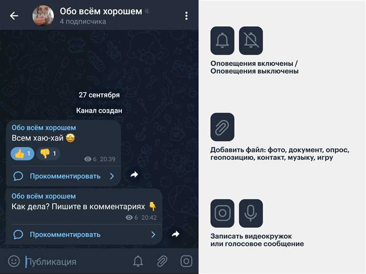 Опросы и реакции в Telegram: инструкция по настройке